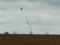 Effaroucheur à oiseaux