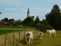 Eglise de Bouvines