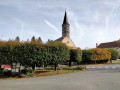 Tour du Bois de la Saucelle à la Puisaye