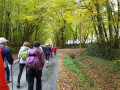 Agréable sous bois