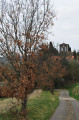 Eglise de Rigupeux