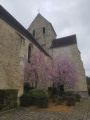 Eglise et arbres en fleurs