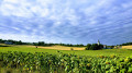 Autour de Livers-Cazelles Autour de Livers-Cazelles