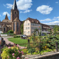 Circuit découverte de la ville de Wissembourg et son vignoble