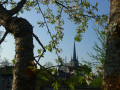 église St Pierre