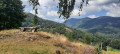 EICHKOPF