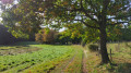 Eidertalwanderweg