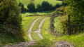 Eidertalwanderweg