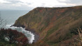 Eldern Point from the South West Coast path