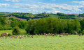 Elevage de cerfs de la ferme de Savoye (ferme pédagogique)