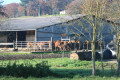 Elevage du Moulin de la Fenêtre