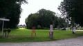 Emaeus Esteville
