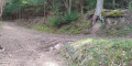 Embranchement pour aller au rocher du poulain Embranchement pour aller au rocher du poulain