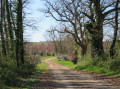 En arrivant à la ferme du Pigeonnier