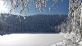 La Bresse par le Lac des Corbeaux et l'Étang de Sèchemer