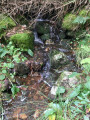 Cascade de la Pissoire et Haut du Tot