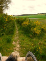 En bord de route