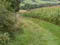 En bordure de champ
