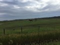 Le Marais d'Angoute Le Marais d'Angoute