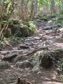 Rochebrune