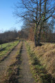 En chemin