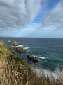 Nugget point