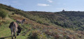 La Capelette par les gorges du Taurou