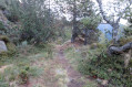 En descendant vers la vallée