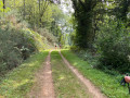 En descendant vers le GR 39