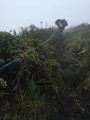 En descente