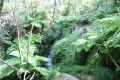 En dessous de la cascade de Pedrafigueria