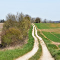 En direction d'Emagny