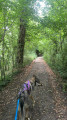 Sentier des carriers à Bettrechies Sentier des carriers à Bettrechies