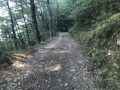 En direction de Montjean