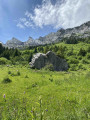 Sur les traces du Bélier des Aravis