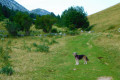 En direction du refuge En direction du refuge