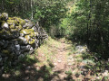 En forêt
