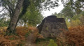 En forêt