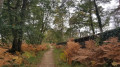 En forêt