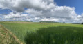 En haut du mont st Pierre de Jaux
