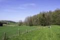 En haut du vallon du Bas du Fond