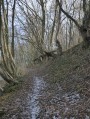 En longeant la vallée de la Hazienne