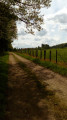 En longeant les bois En longeant les bois