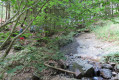 en longeant un ruisseau