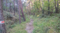 De Saint-Colomban à Peïra-Cava par la Forêt de la Maïris