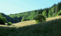 En montant au Calvaire de Portes