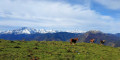 En montant au pic de Montaut