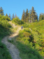 as you climb towards the Col des Plagnes
