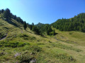 En montant vers le vallon.
