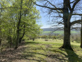 Par forêts et prairies en passant par Chaligny